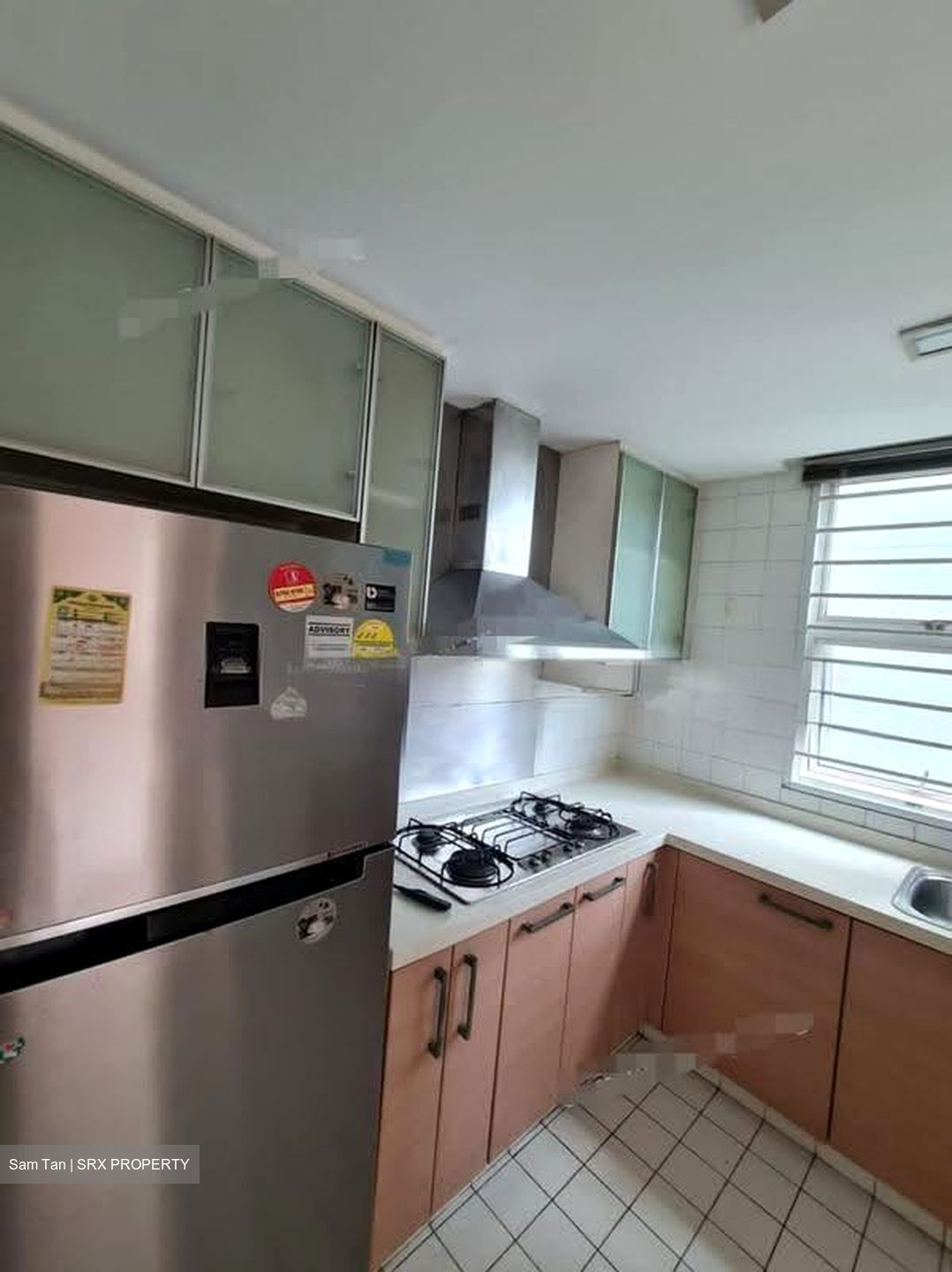 Dahlia Park Condominium (D17), Condominium #607513991